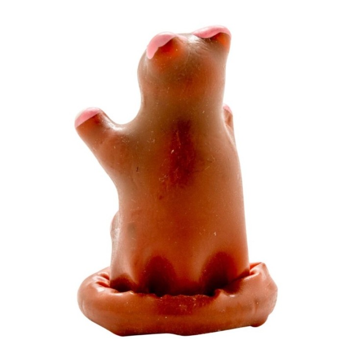 CONDOMERIE - HANDPAINTED NOVELTY CONDOMS TEDDY BEAR