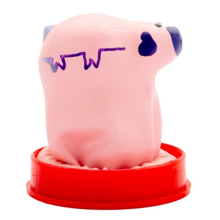 CONDOMERIE - HANDPAINTED NOVELTY CONDOMS SMALL PIG