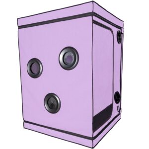 SECRET DOME - KINK CLUB CABINA SCANDALE MORADO