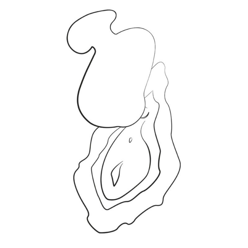 ROMP - KISS SUCCIONADOR DE CLÍTORIS VIBRADOR DE DEDO RECARGABLE - Imagen 12
